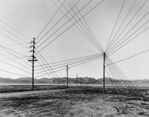 untrustyou:  Taiyo Onorato