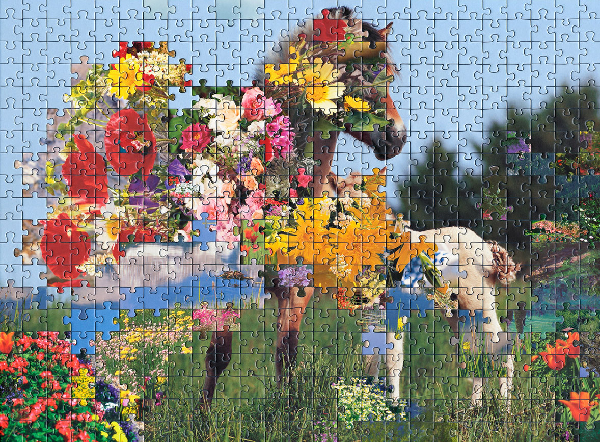 imprecise:  Kent Rogowski, Puzzles 