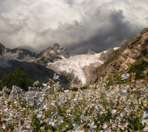 expressions-of-nature:Caucasus Mountains by Estella