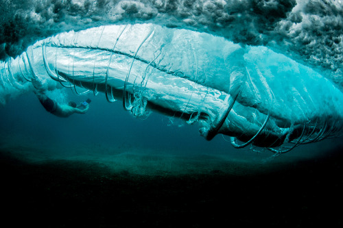 surf-fear:  photo by Ray Collins 