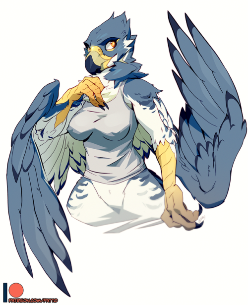 rimebane: Patreon raffle and Patreon tier reward sketches for my lovely supporters. I host merch and