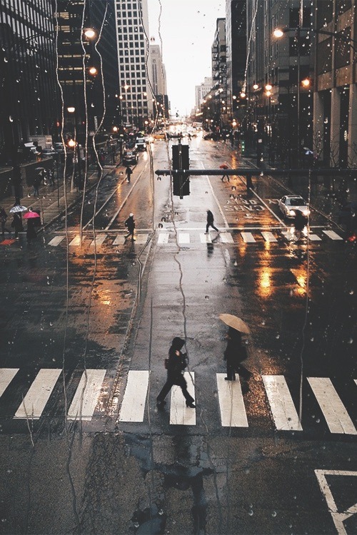 Envy Avenue.