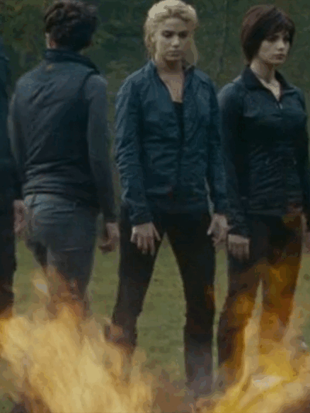 The Twilight Saga + Costumes