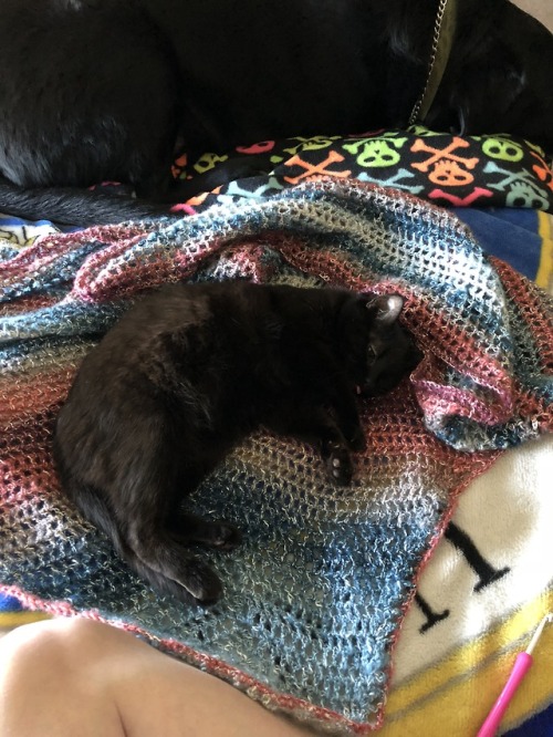 oldfayth:Well I finished the shawl. The supervisor seems pleased