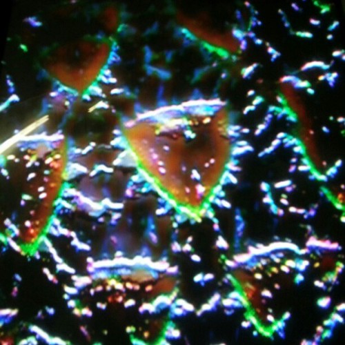 video kaleidoscope