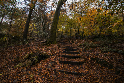 garettphotography:Todmorden, West Yorkshire | GarettPhotography