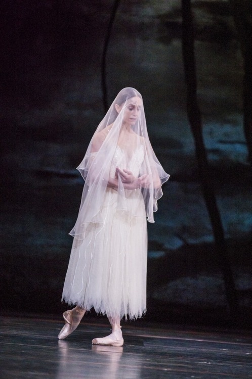 theroyalballetandi: Marianela Nuñèz, aka the gift that keeps on giving, in Giselle as 