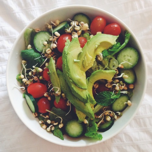 organicsamantha:  nature + indie + personal 