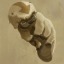 toph-my-spirit-animal