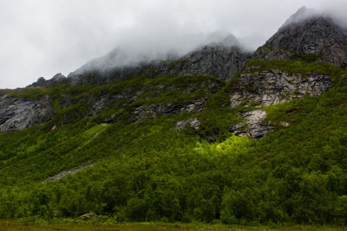 jasminne: Norway’s nature by johnh_the Via Flickr: From a trip to Norway summer 2015.