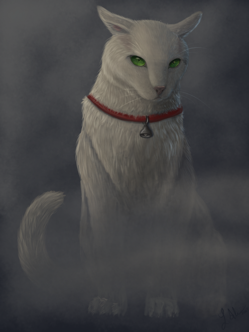 MoggetMogget! One of my favorite characters from the Abhorsen series.~~~~~~~~~~~~Follow me on P