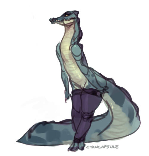 cyancapsule:Here are a buncha crocodiles/gators/gharial sketches I’ve been posting over on my twitter recently! ( Sketches were originally sent to my patrons way way back!) I’ve always thought crocodiles are really cool even if it seems they kinda