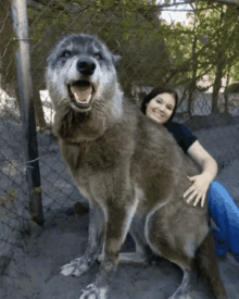 Good Pup