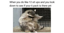 memehumor:  16 Hilarious Animal Memes That Are Freakishly Relatable