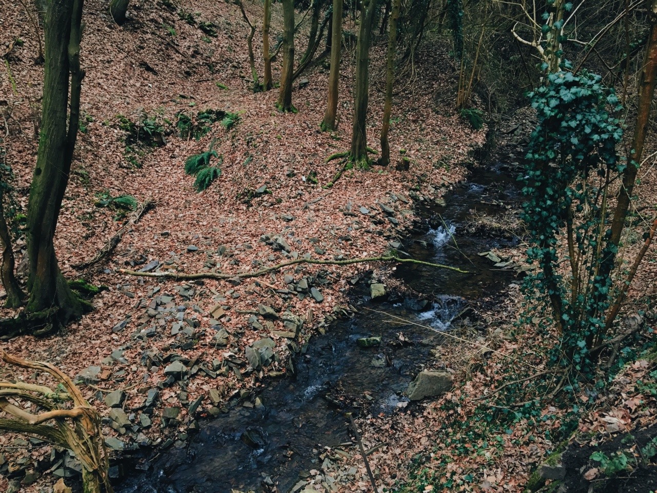 wildlxng:very exhausting (but worthwhile) hike to burg thurant with @litheriel today!