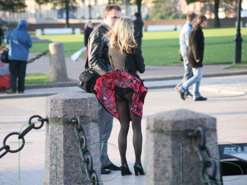 tights and stray dogs
