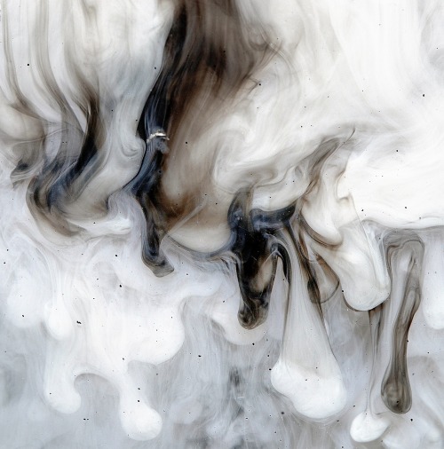 artchipel:  Cliff Briggie (USA) Cliff Briggie makes gorgeous and colorful macro shots by opening heart and mind to their naturally wakeful state - a vivid, raw, intimate experience - like licking honey from a razor blade and not backing away. Choice of