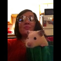 Just hanging with my baby 🐹 #hamster #cute