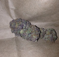 bluntrollerandsmoker:  619 purple urkle