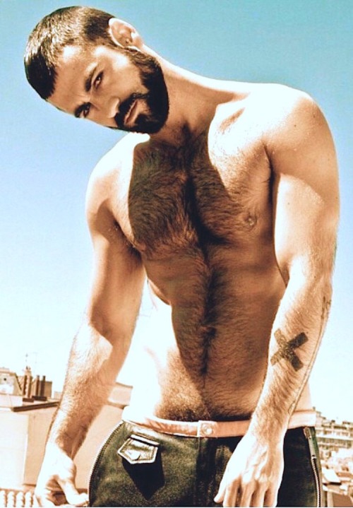 scruffy JIZZ monkey!