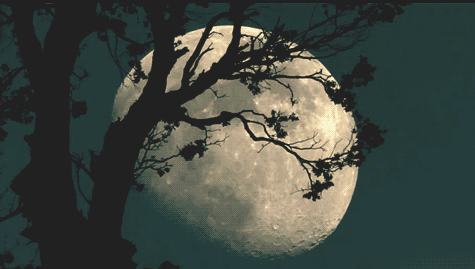 taliesyne:  Friday the 13th. Full moon. Perfect!