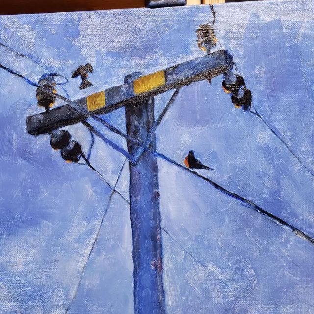Been a while since I worked out a larger piece, but am back it. Revisiting a subject I felt was a break through for me this past year.  #oilpainting #landscapepainting #artistsoninstagram #birds #telephonepole https://www.instagram.com/p/CeCjWPCvfGX/?igshid=NGJjMDIxMWI= #oilpainting#landscapepainting#artistsoninstagram#birds#telephonepole
