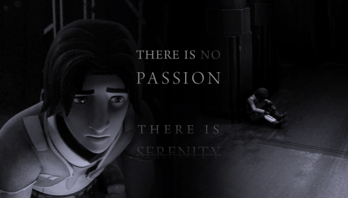 the-son-of-dathomir: If you would just follow the Code, you would be on the Council! Emotion, yet pe