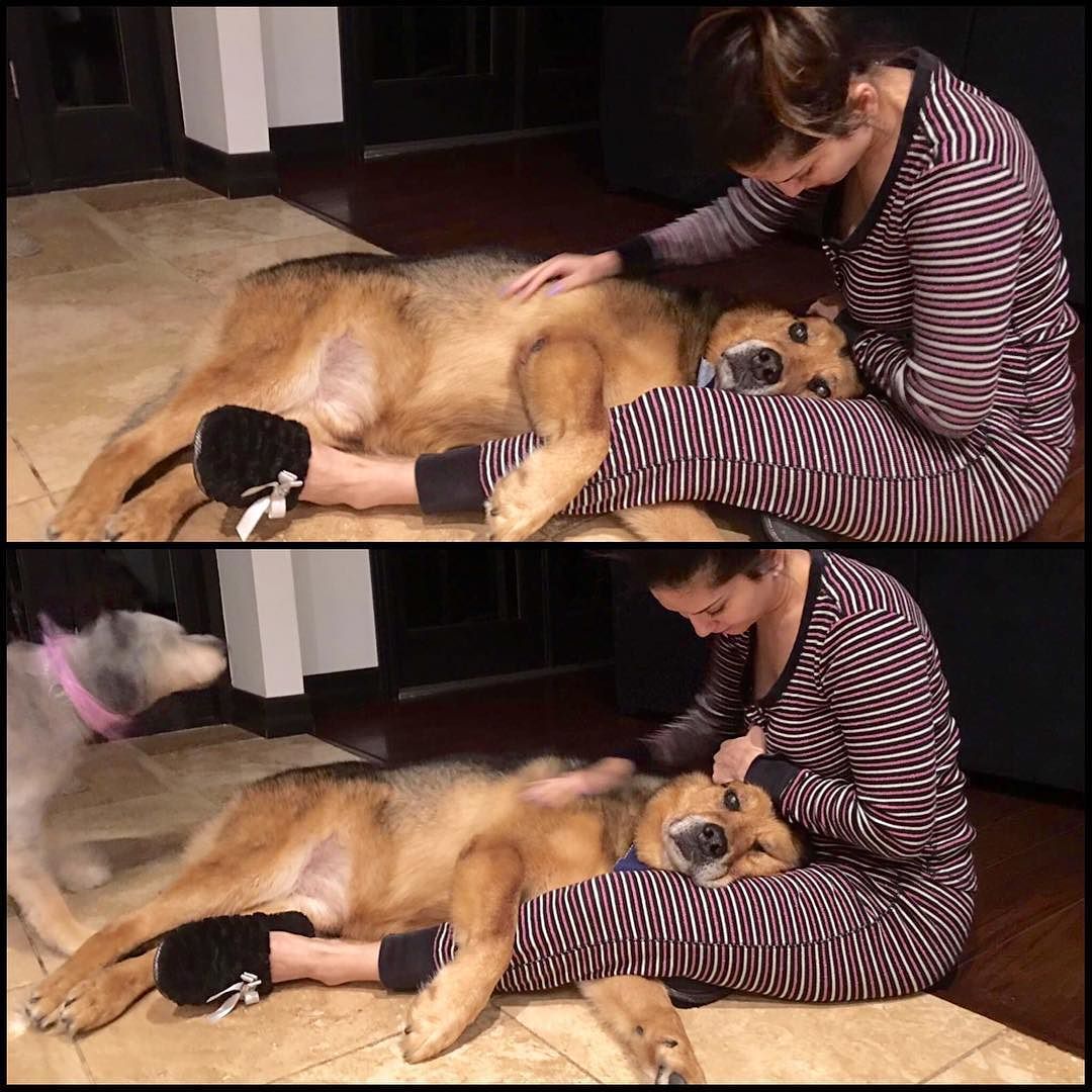 Exactly how I want to spend my morning!! On the floor with my boy Chopper who wants