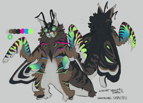 2 Adopt Collabs With My Friend Wolfsnail ! Horseshoe Cat And Bug Cat