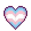 trans