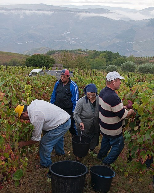 Quinta de Vargellas, Douro #douro #portugal #visitportugal #visitportoandnorth #patrimoniomundial #u