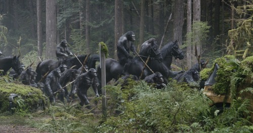 Dawn Of The Planet Of The Apes. (via New Dawn Of The Planet Of The Apes Stills Arrive | Movie News |
