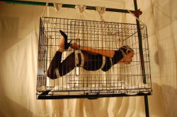 littlehypnoslave:  Like the idea of the cage being hoisted up high, but… Being hoisted up in the cage? Seems a bit overkill