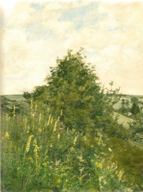 Landscape (Unknown)   -    František Kaván Czech, 1866-1941 Oil on cardboard