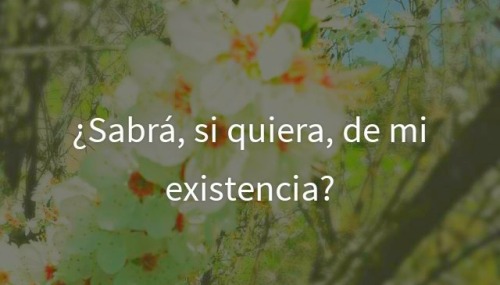 giorgianolml:  ¿Sabrá?