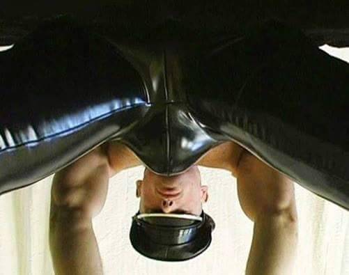Lifestyles of the Fun and Kinky