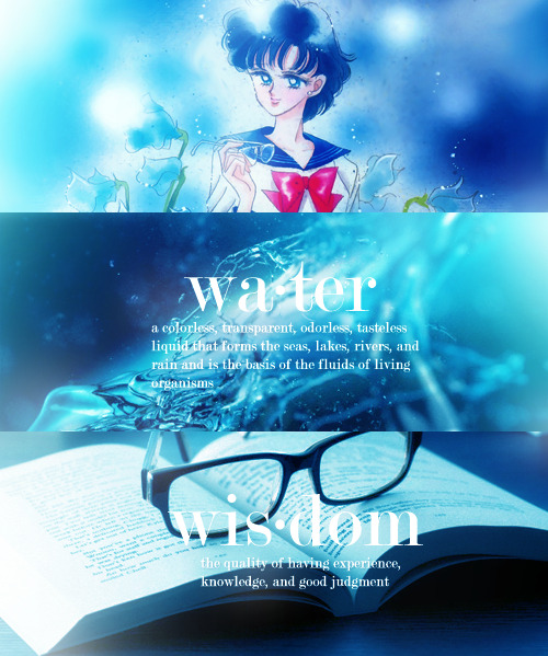 wateredmist:  Complete Sailor Moon Dictionary Series 
