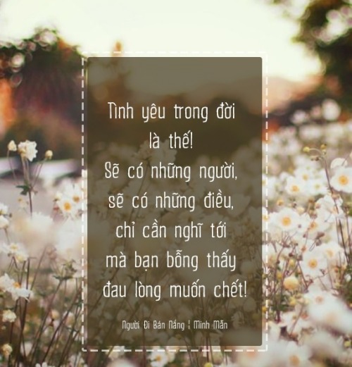 galleryphoto:  Tình yêu trong đời là thế… 