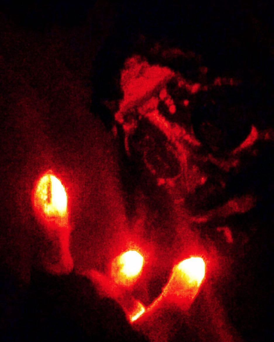 #happyhalloween #happyallhallowseve #halloween2017  #lost #lostnachos #lostnachos921