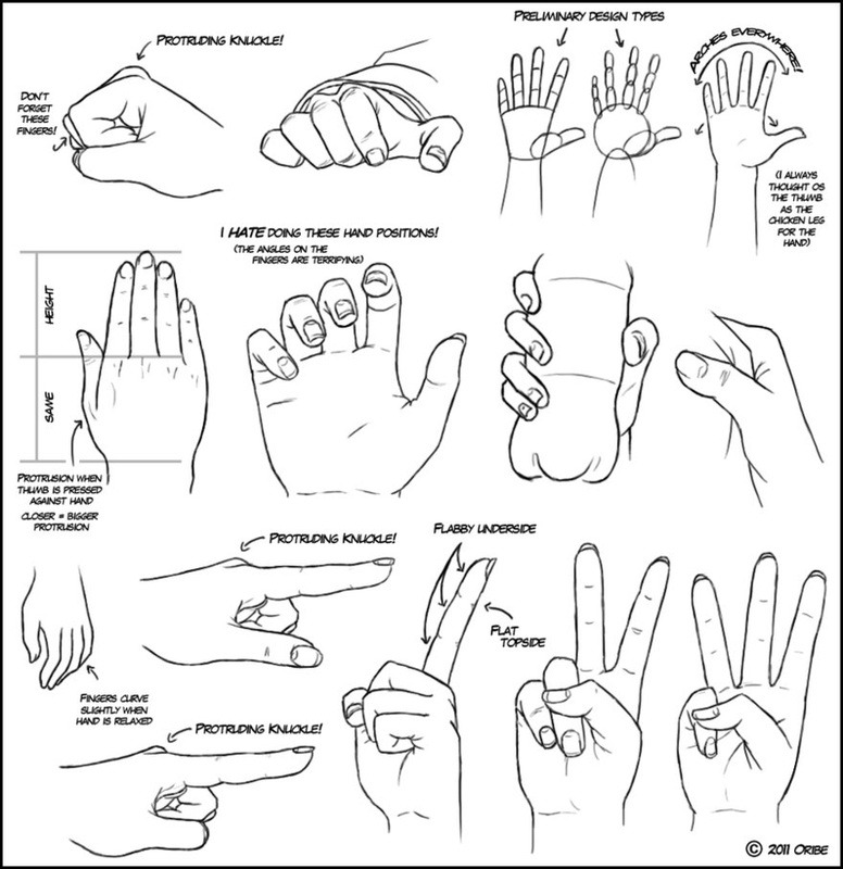fucktonofanatomyreferences:  A mouth-watering fuck-ton of hand references. [From