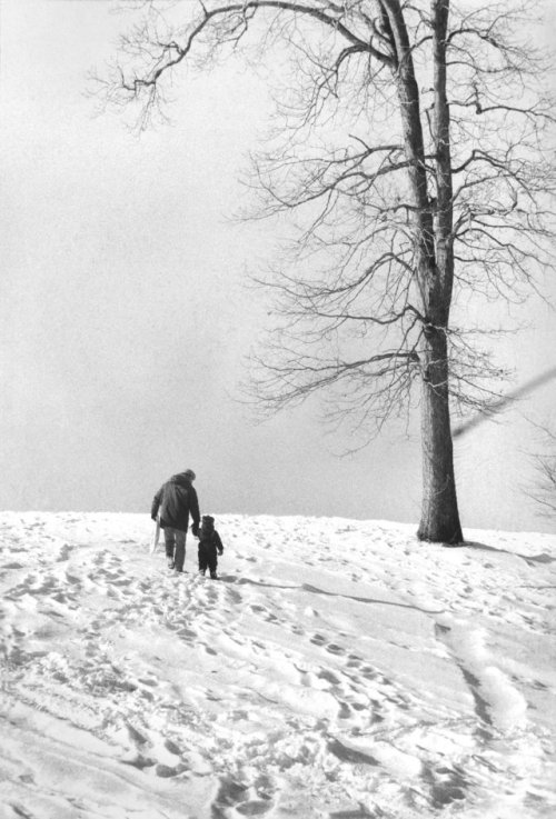 Feb. 8, 1979: In Dix Hills, on Long Island, a fresh snow offered sledding for some and slippery cond