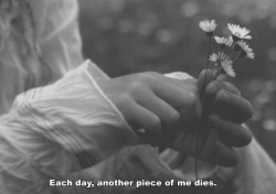 depressionessoverload:  And one day there will be no pieces left.