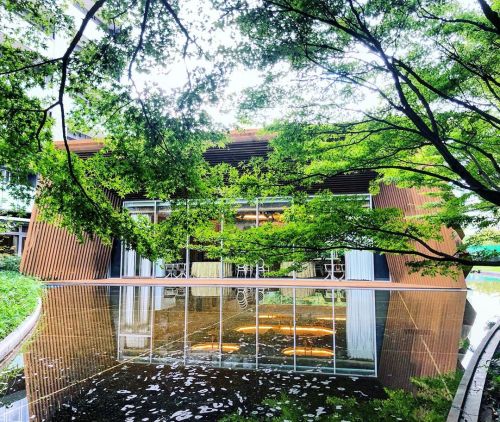 ＼おにわさん更新情報／ ‪[ 東京都・原宿 ] フォレストインフォレスト FOREST IN FOREST, Harajuku, Tokyo の写真・記事を更新しました。 ーー原宿の喧騒からちょっと逃