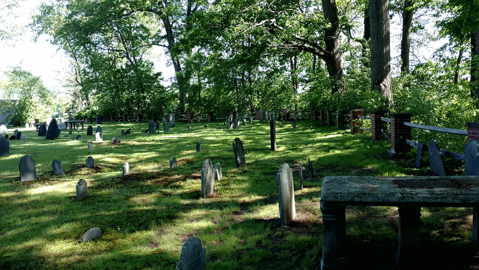 swforester: The wind in the trees and the patterns of sunlight at the old burial