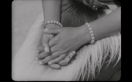 vintagecongo: Stills from a colonial documentary about the Mangbetu people of Northeastern Congo