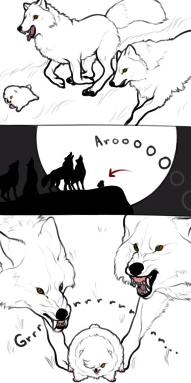 animaglacialis:   itsa-me-amelie:  verceri:  verceri:  sniperj0e:  sniperj0e:  ok but what if like. werewolves transform under the full moon but theres just this one and by day hes a big tough guy and then when he transforms hes a tiny dog. just fucking.