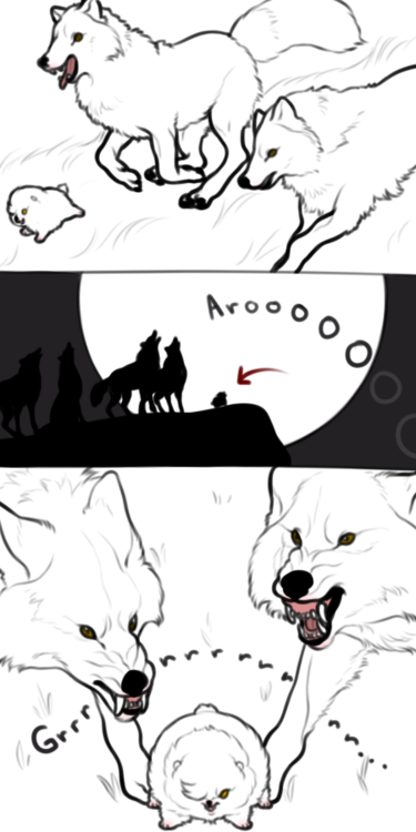 animaglacialis:itsa-me-amelie:verceri:verceri:sniperj0e:  sniperj0e:  ok but what if like. werewolves transform under the full moon but theres just this one and by day hes a big tough guy and then when he transforms hes a tiny dog. just fucking. just