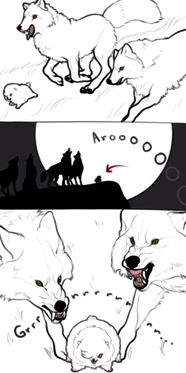 animaglacialis: itsa-me-amelie:  verceri:  verceri:  sniperj0e:  sniperj0e:  ok but what if like. werewolves transform under the full moon but theres just this one and by day hes a big tough guy and then when he transforms hes a tiny dog. just fucking.