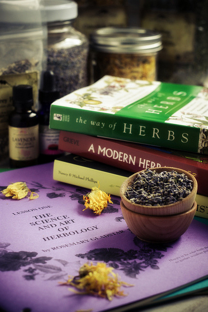 nomadicnotions:Herbalism on Flickr.A pic a day ~ 32/365