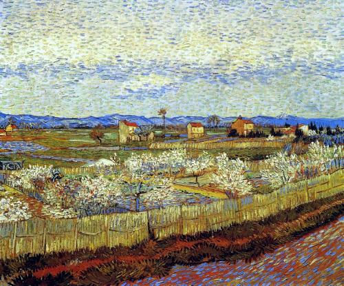 whenyouwereapostcard:  Vincent van Gogh Peach Trees in Blossom 1889